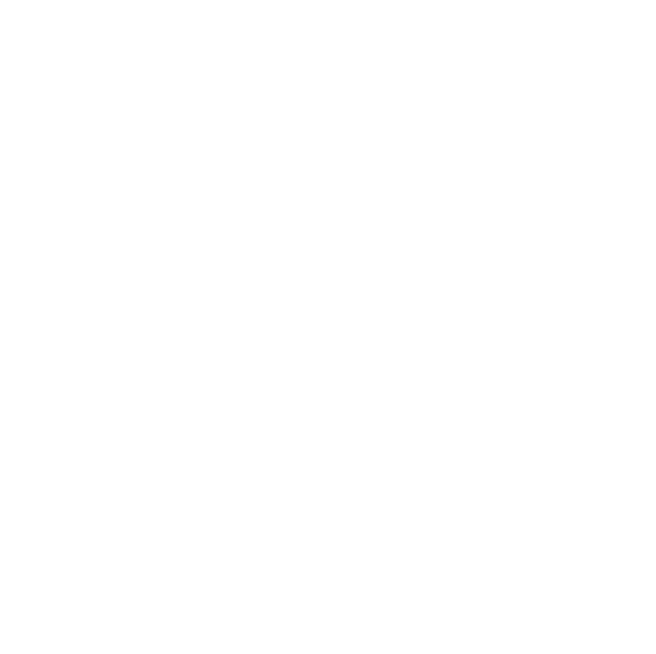 BDSH Sachverständiger